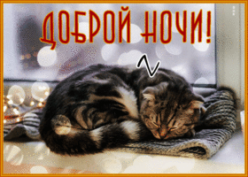 Picture очаровательная открытка доброй ночи с кошечкой