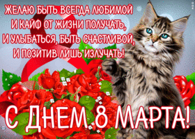 Открытка открытка 8 марта с котиком и цветами
