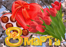 Картинка открытка 8 марта с красными тюльпанами