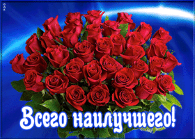 Открытка открытка букет роз