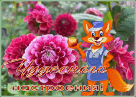 Picture открытка чудесного настроения с лисенком и цветами