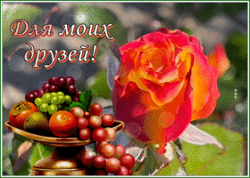 Postcard открытка для моих друзей с розой и фруктами