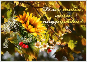 Picture открытка для тебя моя подружка с осенью и цветами