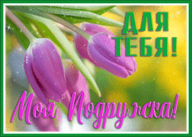 Postcard открытка для тебя, моя подружка с розовыми тюльпанами