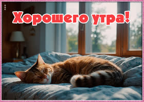 Postcard открытка, доброе утро для вас