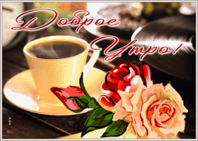 Картинка открытка доброе утро с чайной розой
