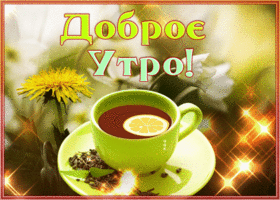 Picture открытка доброе утро с зеленым чаем и одуванчиками