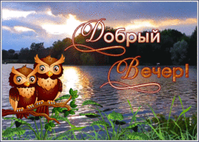 Picture открытка добрый вечер с речкой и совами
