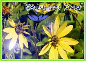 Открытка открытка хорошего дня с полевыми цветами