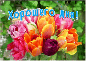 Открытка открытка хорошего дня с цветами