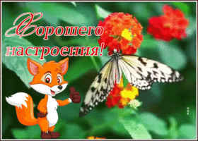 Картинка открытка хорошего настроения с бабочкой