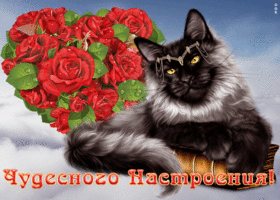Картинка открытка хорошего настроения с котиком