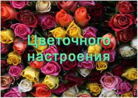 Открытка открытка хорошего настроения с цветами
