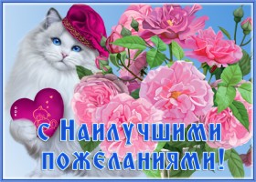 Открытка открытка котик с цветами