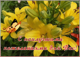 Открытка открытка лилии с пожеланиями