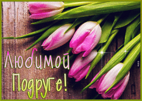Picture открытка любимой подруге с розовыми тюльпанами