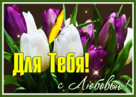 Picture открытка очаровательные тюльпаны для тебя с любовью