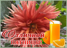 Postcard открытка отличной пятницы с апельсиновым соком