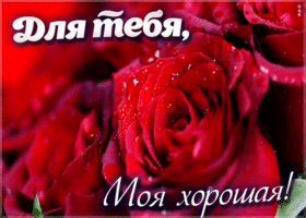 Открытка открытка подруге с розой