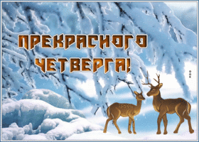 Picture открытка прекрасного четверга с зимой и оленями