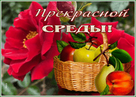 Picture открытка прекрасной среды с цветами и корзиной фруктов