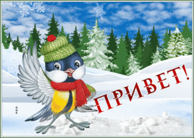 Picture открытка привет с веселой птичкой и снегом