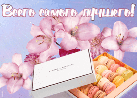 Открытка открытка розовые лилии