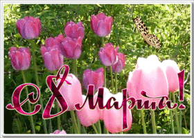 Открытка открытка с 8 марта с розовыми тюльпанами