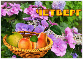 Postcard открытка с четвергом с фруктами и цветами
