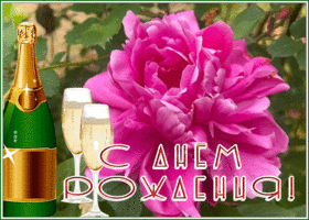 Postcard открытка с днем рождения мужчине с красивым цветком и шампанским