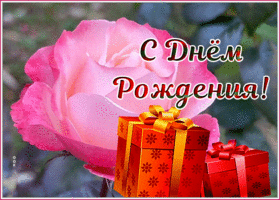 Postcard открытка с днем рождения женщине с нежной розой и подарком