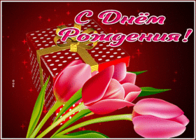 Picture открытка с днем рождения женщине с нежными тюльпанами