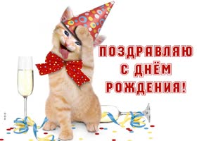 Postcard открытка с днем рождения женщине  с очаровательным котенком