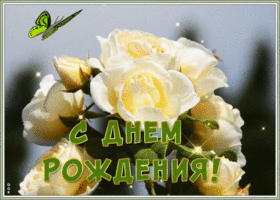 Открытка открытка с днем рождения женщине белые розы