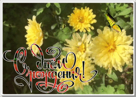 Открытка открытка с днем рождения женщине желтые цветы