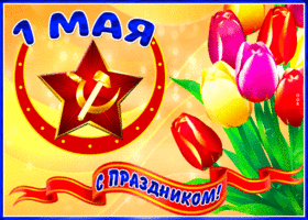 Картинка открытка с днем весны и труда с прекрасными тюльпанами