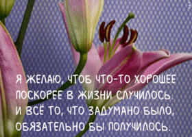 Открытка открытка с лилией с пожеланиями