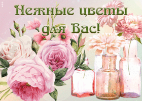 Картинка открытка с нежными цветами