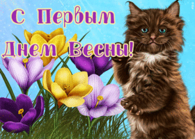 Открытка открытка с первым днем весны с котиком