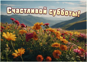 Postcard открытка с пожеланиями на субботу