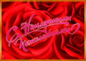 Открытка открытка с пожеланиями с розами