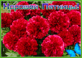 Картинка открытка с пятницей с цветами