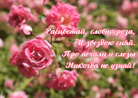 Картинка открытка с розами с красивыми словами