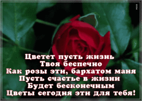 Открытка открытка с розой с пожеланиями