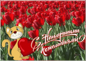 Картинка открытка с тюльпанами с котиком
