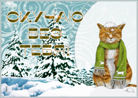 Postcard открытка скучаю без тебя со снегом и очаровательным котиком