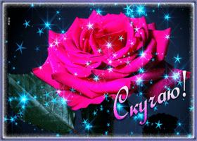 Картинка открытка скучаю с розой