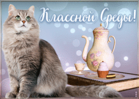 Картинка открытка со средой с кошкой
