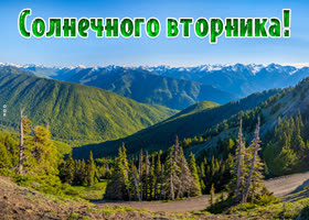 Postcard открытка солнечного вторника с видом на горы