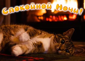 Picture открытка спокойной ночи с очаровательным котиком и камином